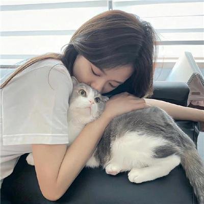 小鱼封面